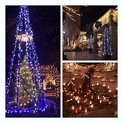 玄関/入り口/イルミネーション/クリスマスツリー/クリスマスのインテリア実例 - 2015-12-03 19:04:19