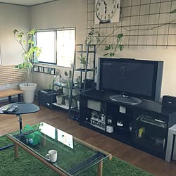 部屋全体/観葉植物/NO GREEN NO LIFE/エアープランツ/ウンベラータのインテリア実例 - 2017-05-05 06:14:30