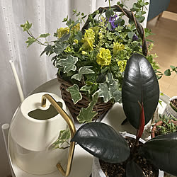 水さし/観葉植物/IKEA/机のインテリア実例 - 2022-05-04 21:17:11