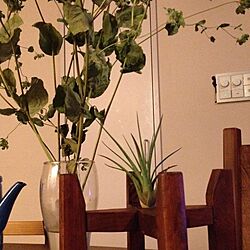 リビング/観葉植物/テーブル/植物/珪藻土の壁...などのインテリア実例 - 2014-04-02 22:15:40