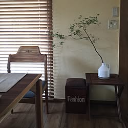 部屋全体/IKEA/観葉植物のインテリア実例 - 2015-11-04 16:32:20