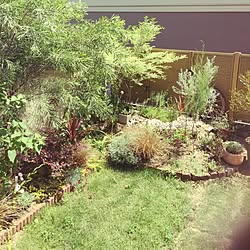 ガーデン/庭/green/ガーデニングのインテリア実例 - 2016-05-18 13:06:58