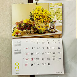 カレンダー１階はここだけ/花のカレンダー/カレンダー2022/キッチンの壁/注文住宅...などのインテリア実例 - 2021-12-01 22:54:39
