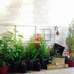 玄関/入り口/ウッドデッキ/雑貨/DIY/植物...などのインテリア実例 - 2015-05-22 17:52:29