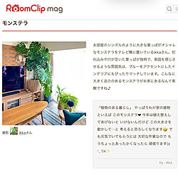 グリーンのある暮らし/癒し/モンステラ/観葉植物/RoomClip mag...などのインテリア実例 - 2021-07-02 17:21:25