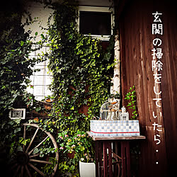 庭/大八車の車輪/タイルシンク/古道具/コメントお気遣いなく(´-ω-)...などのインテリア実例 - 2023-04-16 14:46:39