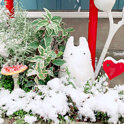 雪だるま手作り/雪だるま/トトロ/雪の日/花壇...などのインテリア実例 - 2022-01-07 16:51:59