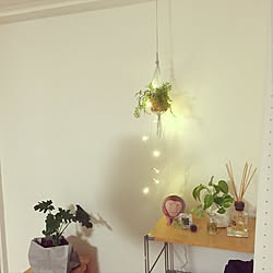 棚/北欧/フェイクグリーン/IKEA/観葉植物...などのインテリア実例 - 2016-11-20 21:05:19