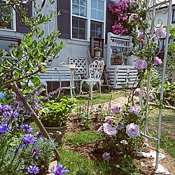 部屋全体/南側のお庭/お庭/バラの花/海外のインテリアに憧れる...などのインテリア実例 - 2017-05-19 21:25:43