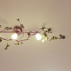 壁/天井/いなざうるす屋さん/フェイクグリーン/照明/IKEAのインテリア実例 - 2017-04-26 11:48:38