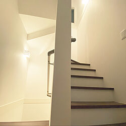 階段/壁/天井/階段の照明/シンプルのインテリア実例 - 2021-03-28 22:48:56