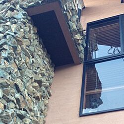 2階の窓/石/見てる/フレンチブルドック/外からの眺めのインテリア実例 - 2013-11-13 10:29:50
