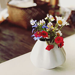 陶器の花瓶/花瓶/花のある暮らし/雑貨/お気に入りの器...などのインテリア実例 - 2023-05-17 12:26:41