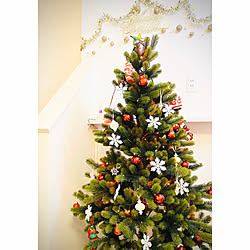 さんたさん/クリスマスツリー150cm/クリスマスツリー/クリスマス/リビングのインテリア実例 - 2019-12-12 21:56:13