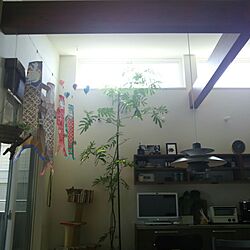 壁/天井/こどもと暮らす/北欧/２階リビング/観葉植物...などのインテリア実例 - 2017-04-12 13:29:19