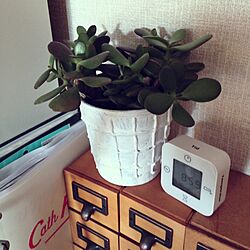 机/IKEA/植物/鉢/手作り...などのインテリア実例 - 2013-12-15 03:15:58