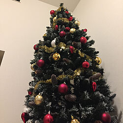 リビング/クリスマス/IKEAのインテリア実例 - 2017-11-17 23:02:38