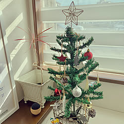 クリスマス/大きなツリーに憧れる/雑貨/3COINS/リビング...などのインテリア実例 - 2021-11-06 08:52:58