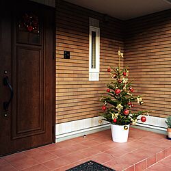 玄関/入り口/IKEA/モミの木/クリスマスツリー/クリスマス...などのインテリア実例 - 2014-11-22 15:12:33