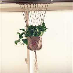 ベッド周り/プラハン初心者/DIY/観葉植物のインテリア実例 - 2016-05-13 16:19:54