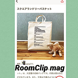 オモチャ収納/ぬいぐるみ入れ/ダイソー/RoomClip mag 掲載/記録用です...などのインテリア実例 - 2019-07-25 12:45:29