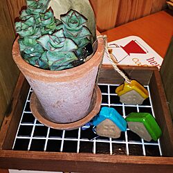 ベッド周り/多肉植物/木かる粘土のお家のインテリア実例 - 2017-05-05 23:12:26