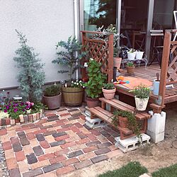 ウッドデッキ/レンガ/植物/DIY/花壇...などのインテリア実例 - 2016-05-25 11:07:30
