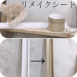 すべて自分で！/DIY/ねこのいる日常/漆喰壁DIY/メインクーン...などのインテリア実例 - 2021-01-15 15:18:04