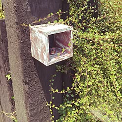 玄関/入り口/DIYのインテリア実例 - 2017-07-09 13:09:08