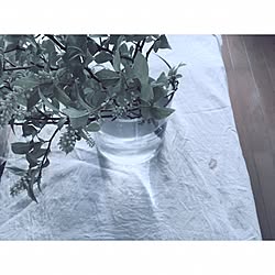 机/植物/一人暮らし/古いもののインテリア実例 - 2017-05-28 01:02:41