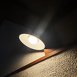 照明/レトロ/壁/天井のインテリア実例 - 2023-05-05 16:33:23