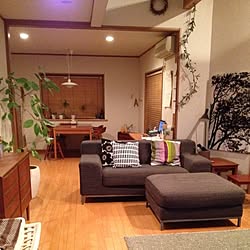 部屋全体/クッション/ソファ/北欧家具/植物...などのインテリア実例 - 2012-09-04 20:01:43