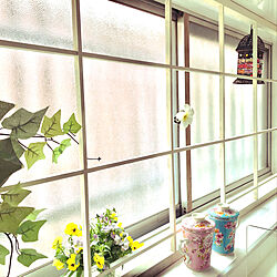 可愛い窓枠/インダストリアルインテリア/観葉植物/ガーデニング/DIY...などのインテリア実例 - 2020-05-15 18:45:16