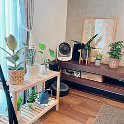 建売住宅をおしゃれに/観葉植物/ナチュラル/インテリア/雑貨...などのインテリア実例 - 2023-03-19 12:54:57