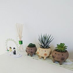 玄関/入り口/多肉植物/多肉植物初心者/WOODONE/LEGO...などのインテリア実例 - 2017-02-13 08:05:21