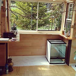 部屋全体/DIY/爬虫類部屋/オタク部屋のインテリア実例 - 2014-04-25 09:33:52