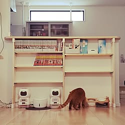 リビング/ホワイトインテリア/建売/猫と暮らす/猫のいる風景...などのインテリア実例 - 2023-10-15 20:46:57