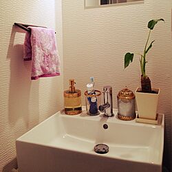 washroom/ZARA HOME/観葉植物のインテリア実例 - 2015-05-17 14:55:37