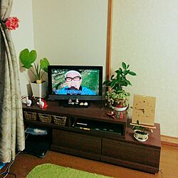 リビング/観葉植物/インテリア/テレビ台/癒し...などのインテリア実例 - 2016-10-22 17:50:14