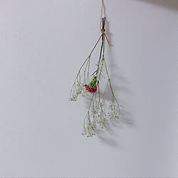 flower/ドライフラワー/お花/ドライフラワー作り/Dried flowers...などのインテリア実例 - 2019-05-22 19:58:41