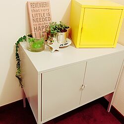 バス/トイレ/IKEA/ダイソー/3COINS/フェイクグリーン...などのインテリア実例 - 2017-01-18 11:29:17