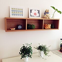 棚/観葉植物/植物/無印良品/シンプル...などのインテリア実例 - 2014-05-30 09:20:14