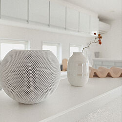 スピーカー/Bluetoothスピーカー/KAHLER/HomePod mini/音楽のある暮らし...などのインテリア実例 - 2021-01-17 20:35:48