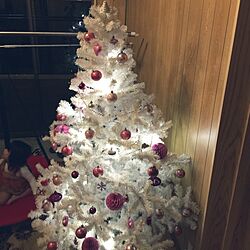 玄関/入り口/クリスマスツリー/クリスマス/ニトリ/IKEAのインテリア実例 - 2015-11-09 21:23:21