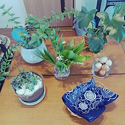 机/いいね♪いつもありがとうございます❤️/観葉植物のある暮らし/ヒノキの香りのインテリア実例 - 2017-05-23 09:17:40