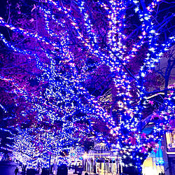 いいねありがとうございます♡/横浜 /クリスマス/イルミネーション/青が好きのインテリア実例 - 2022-12-24 21:25:38
