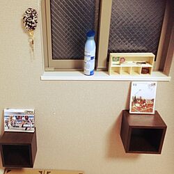 棚/カラーボックス/賃貸/DIY/雑貨のインテリア実例 - 2014-09-14 19:08:31