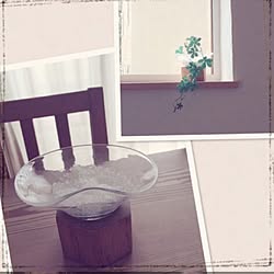 部屋全体/植物/花器のインテリア実例 - 2014-09-27 07:06:12