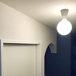 レセップ照明/壁/天井/アール壁/青い壁/アール下がり壁...などのインテリア実例 - 2021-07-11 17:27:49