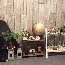 棚/DIY/100均/観葉植物/自作棚、100円ショップでDIY！...などのインテリア実例 - 2016-06-29 22:31:38